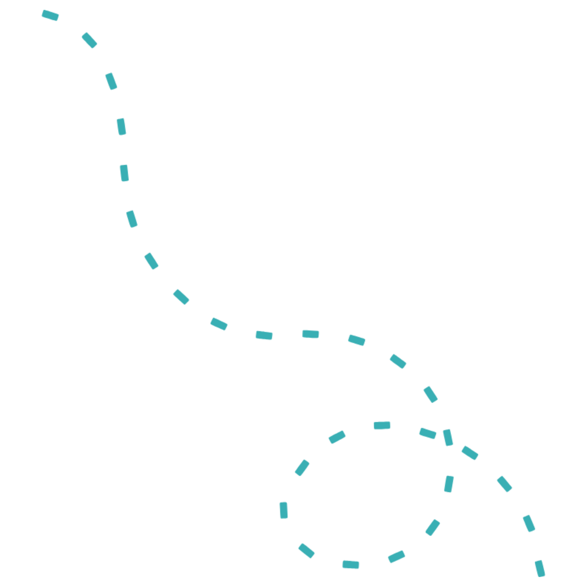 Anasayfa